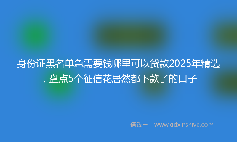 身份证黑名单急需要钱哪里可以贷款2025年精选，盘点5个征信花居然都下款了的口子