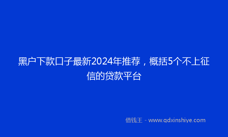 黑户下款口子最新2024年推荐，概括5个不上征信的贷款平台