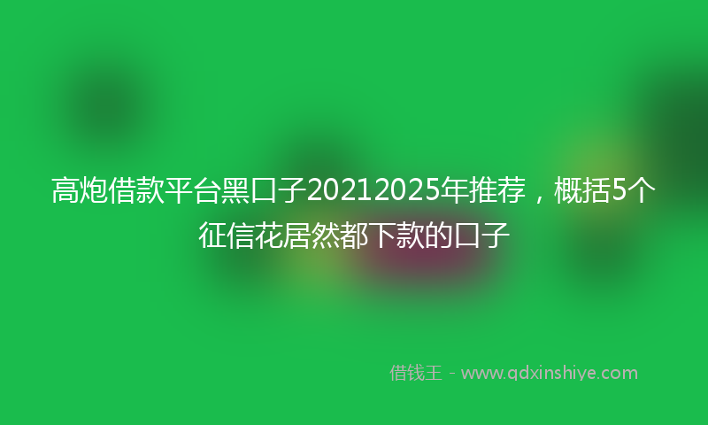 高炮借款平台黑口子20212025年推荐，概括5个征信花居然都下款的口子