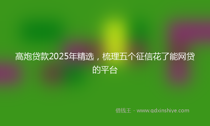 高炮贷款2025年精选，梳理五个征信花了能网贷的平台