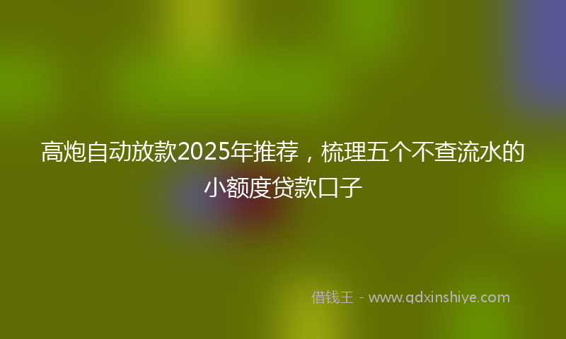 高炮自动放款2025年推荐，梳理五个不查流水的小额度贷款口子