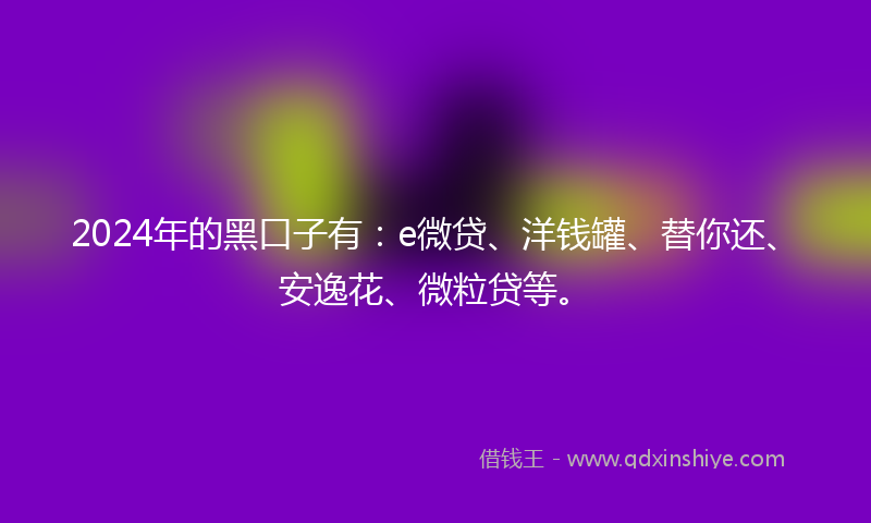2024年的黑口子有：e微贷、洋钱罐、替你还、安逸花、微粒贷等。