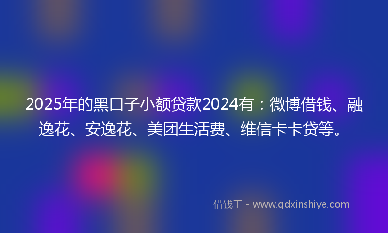 2025年的黑口子小额贷款2024有：微博借钱、融逸花、安逸花、美团生活费、维信卡卡贷等。