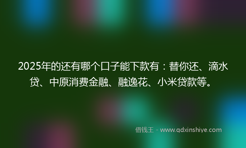 2025年的还有哪个口子能下款有：替你还、滴水贷、中原消费金融、融逸花、小米贷款等。