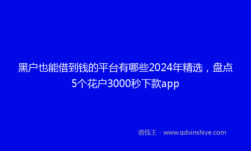 黑户也能借到钱的平台有哪些2024年精选，盘点5个花户3000秒下款app