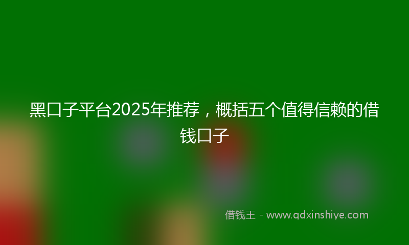 黑口子平台2025年推荐，概括五个值得信赖的借钱口子