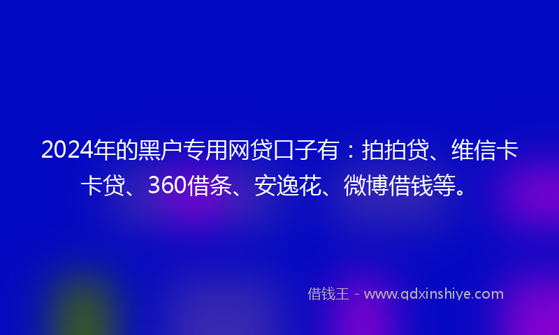 2024年的黑户专用网贷口子有：拍拍贷、维信卡卡贷、360借条、安逸花、微博借钱等。