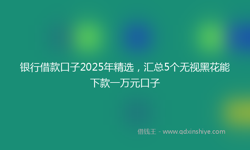 银行借款口子2025年精选，汇总5个无视黑花能下款一万元口子