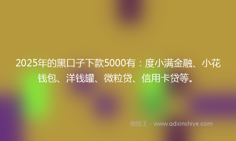 2025年的黑口子下款5000有：度小满金融、小花钱包、洋钱罐、微粒贷、信用卡贷等。
