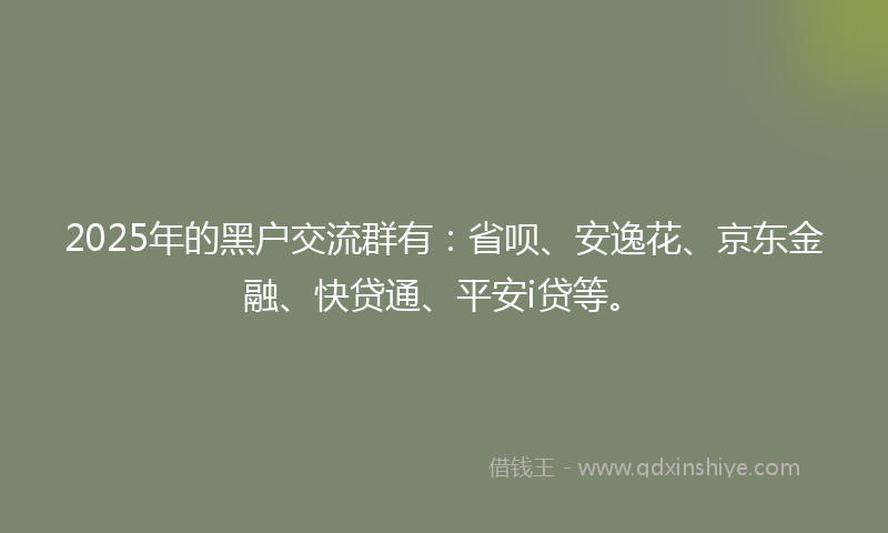 2025年的黑户交流群有：省呗、安逸花、京东金融、快贷通、平安i贷等。
