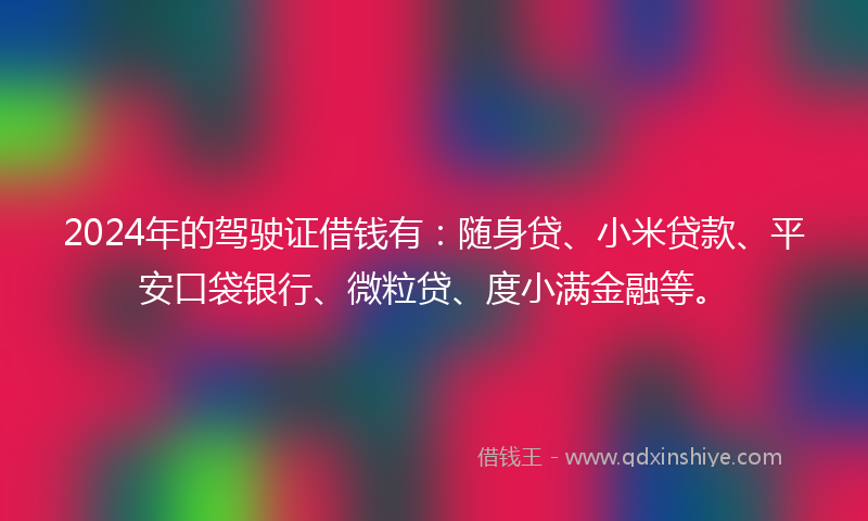 2024年的驾驶证借钱有：随身贷、小米贷款、平安口袋银行、微粒贷、度小满金融等。