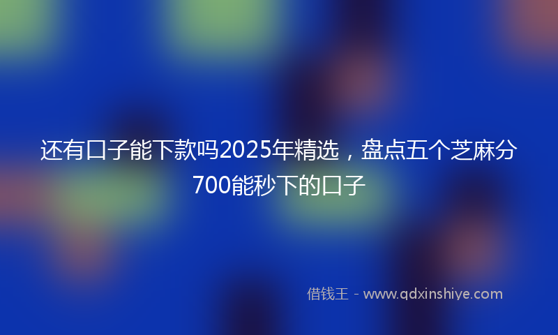 还有口子能下款吗2025年精选，盘点五个芝麻分700能秒下的口子