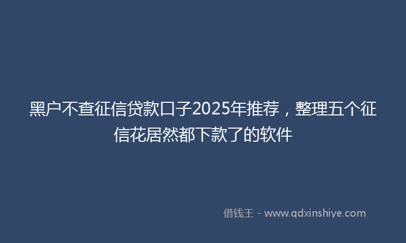黑户不查征信贷款口子2025年推荐，整理五个征信花居然都下款了的软件