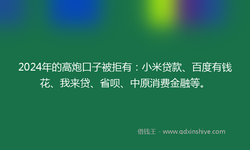2024年的高炮口子被拒有：小米贷款、百度有钱花、我来贷、省呗、中原消费金融等。