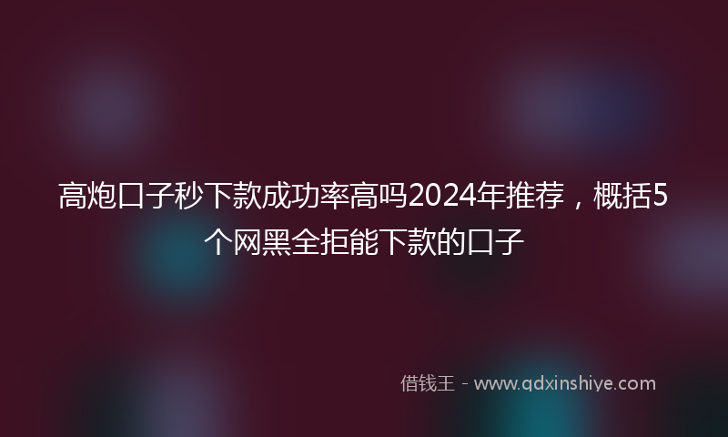 高炮口子秒下款成功率高吗2024年推荐，概括5个网黑全拒能下款的口子