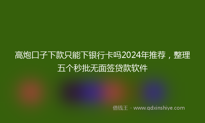 高炮口子下款只能下银行卡吗2024年推荐，整理五个秒批无面签贷款软件