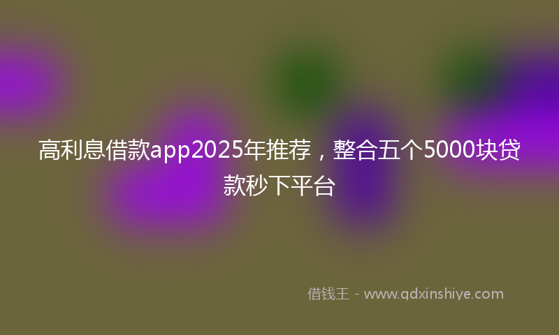 高利息借款app2025年推荐，整合五个5000块贷款秒下平台