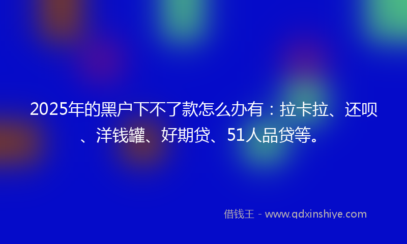 2025年的黑户下不了款怎么办有：拉卡拉、还呗、洋钱罐、好期贷、51人品贷等。