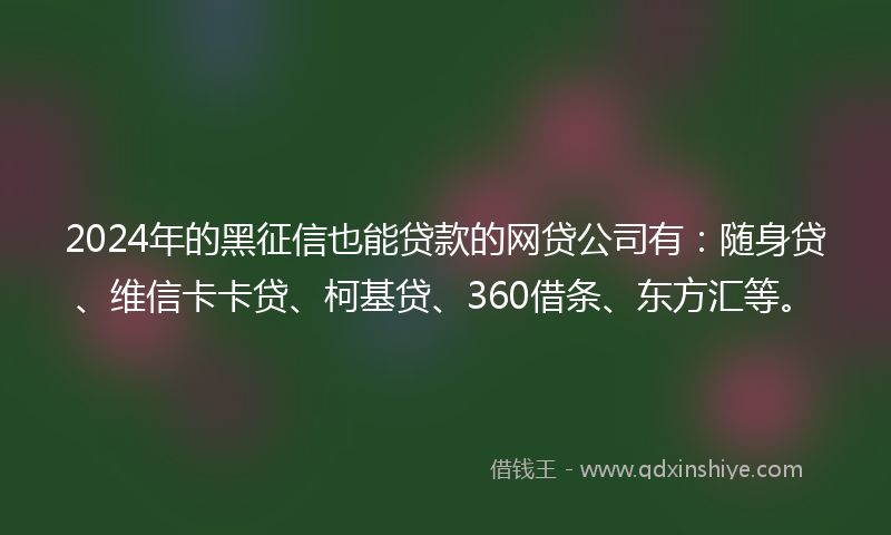 2024年的黑征信也能贷款的网贷公司有：随身贷、维信卡卡贷、柯基贷、360借条、东方汇等。