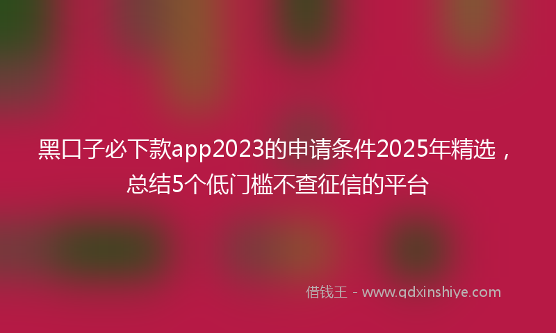 黑口子必下款app2023的申请条件2025年精选，总结5个低门槛不查征信的平台