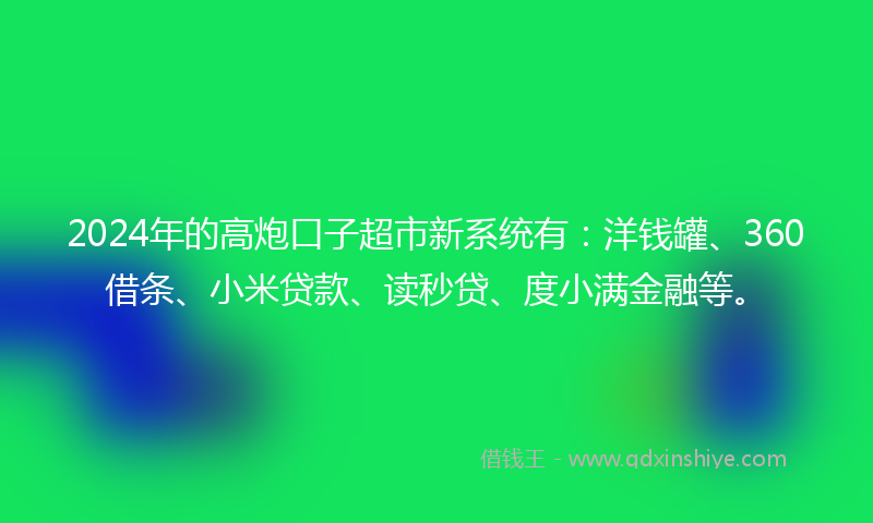 2024年的高炮口子超市新系统有：洋钱罐、360借条、小米贷款、读秒贷、度小满金融等。