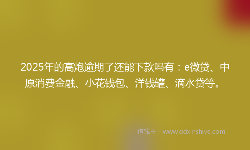 2025年的高炮逾期了还能下款吗有：e微贷、中原消费金融、小花钱包、洋钱罐、滴水贷等。