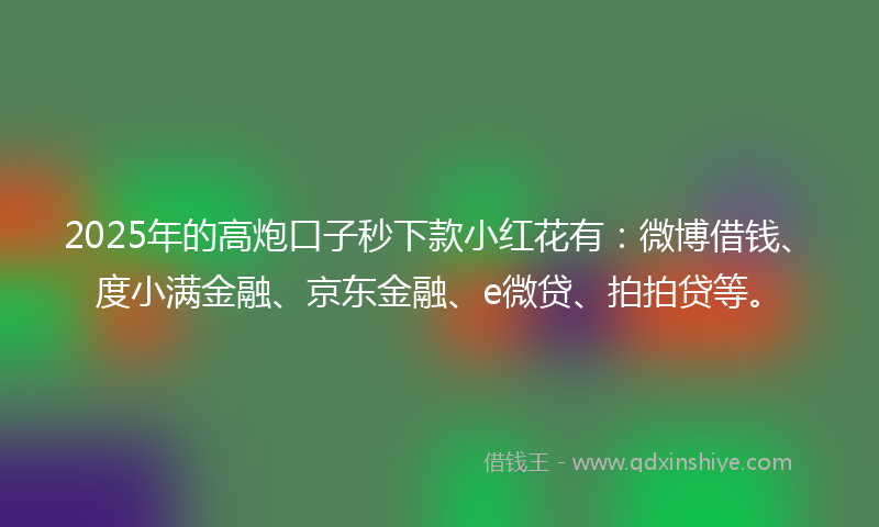 2025年的高炮口子秒下款小红花有：微博借钱、度小满金融、京东金融、e微贷、拍拍贷等。