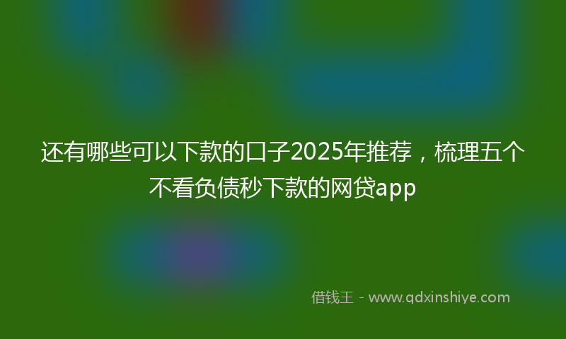 还有哪些可以下款的口子2025年推荐，梳理五个不看负债秒下款的网贷app