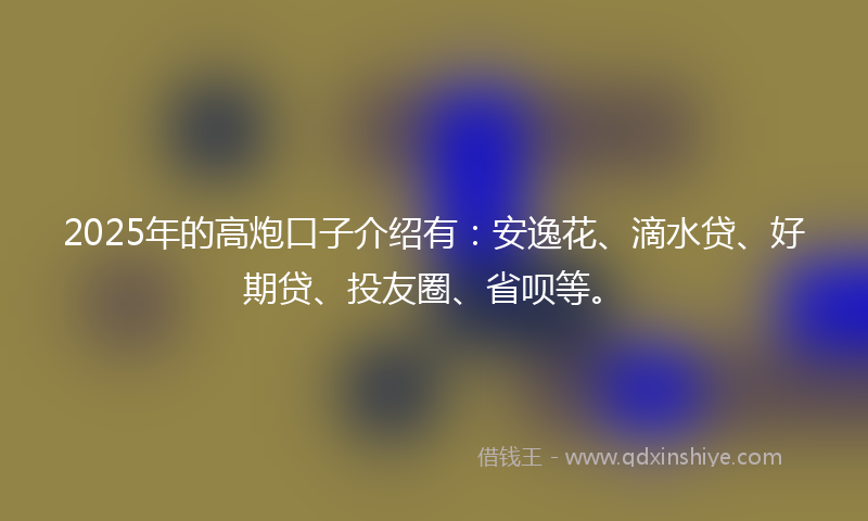 2025年的高炮口子介绍有：安逸花、滴水贷、好期贷、投友圈、省呗等。