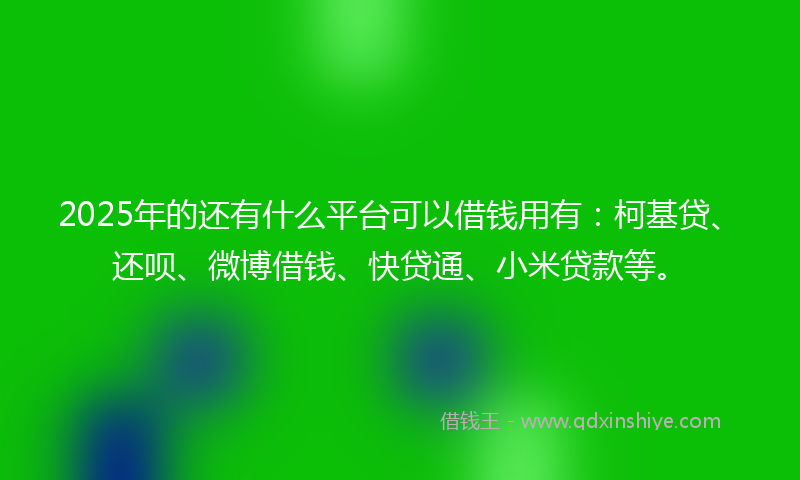2025年的还有什么平台可以借钱用有：柯基贷、还呗、微博借钱、快贷通、小米贷款等。