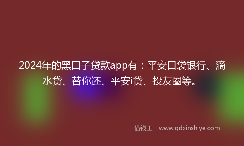 2024年的黑口子贷款app有：平安口袋银行、滴水贷、替你还、平安i贷、投友圈等。