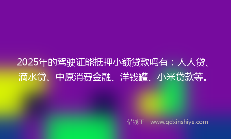 2025年的驾驶证能抵押小额贷款吗有：人人贷、滴水贷、中原消费金融、洋钱罐、小米贷款等。
