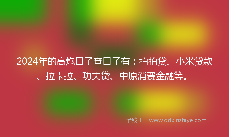 2024年的高炮口子查口子有：拍拍贷、小米贷款、拉卡拉、功夫贷、中原消费金融等。