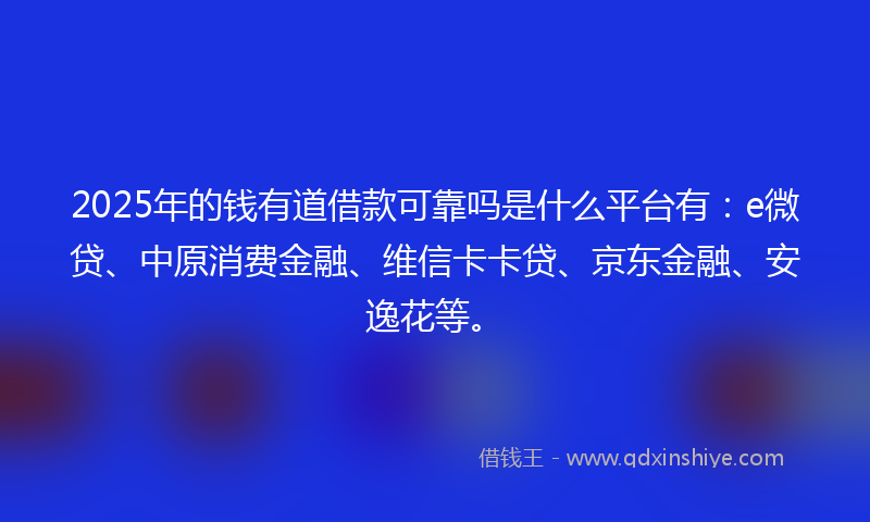 2025年的钱有道借款可靠吗是什么平台有：e微贷、中原消费金融、维信卡卡贷、京东金融、安逸花等。
