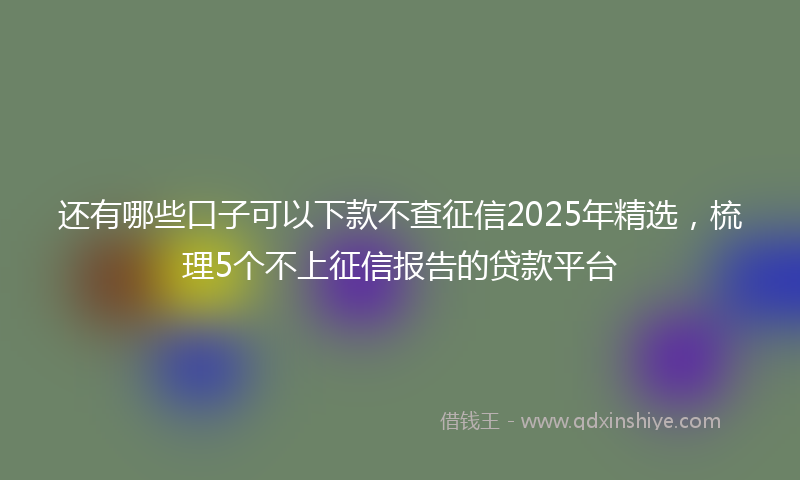 还有哪些口子可以下款不查征信2025年精选，梳理5个不上征信报告的贷款平台