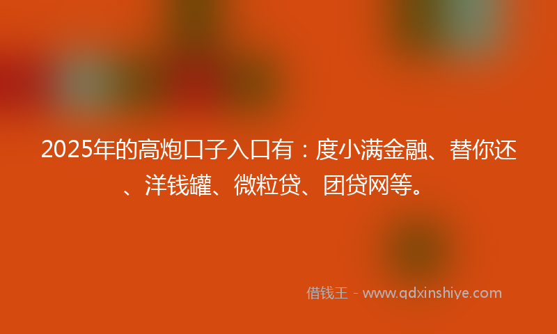 2025年的高炮口子入口有：度小满金融、替你还、洋钱罐、微粒贷、团贷网等。