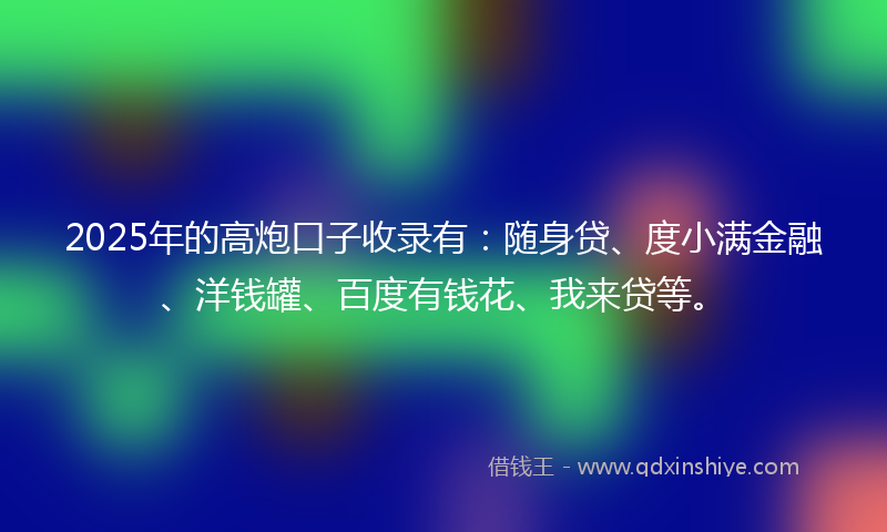 2025年的高炮口子收录有：随身贷、度小满金融、洋钱罐、百度有钱花、我来贷等。