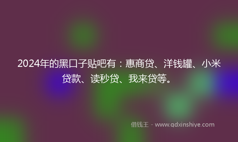 2024年的黑口子贴吧有：惠商贷、洋钱罐、小米贷款、读秒贷、我来贷等。
