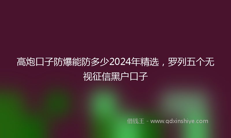 高炮口子防爆能防多少2024年精选，罗列五个无视征信黑户口子
