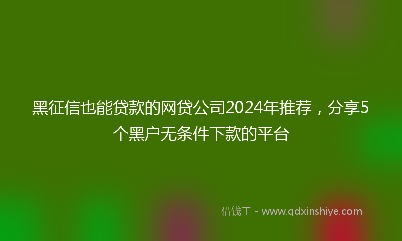 黑征信也能贷款的网贷公司2024年推荐，分享5个黑户无条件下款的平台