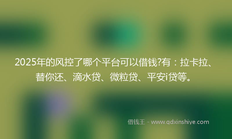 2025年的风控了哪个平台可以借钱?有：拉卡拉、替你还、滴水贷、微粒贷、平安i贷等。