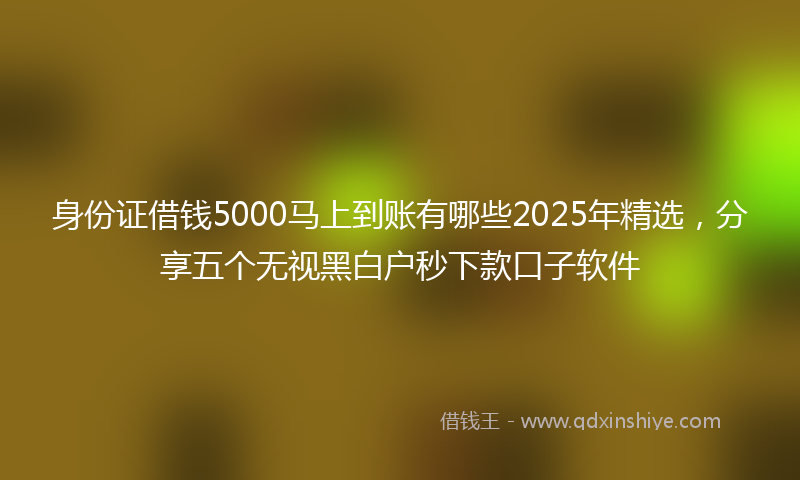身份证借钱5000马上到账有哪些2025年精选，分享五个无视黑白户秒下款口子软件