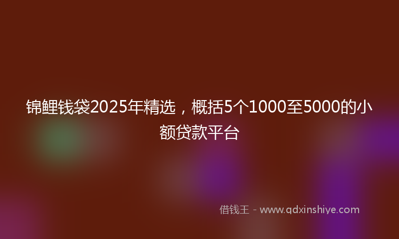 锦鲤钱袋2025年精选，概括5个1000至5000的小额贷款平台