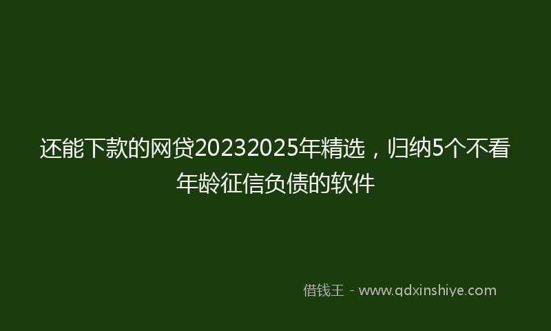 还能下款的网贷20232025年精选，归纳5个不看年龄征信负债的软件