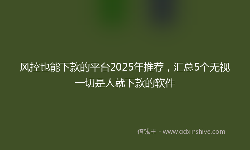 风控也能下款的平台2025年推荐，汇总5个无视一切是人就下款的软件