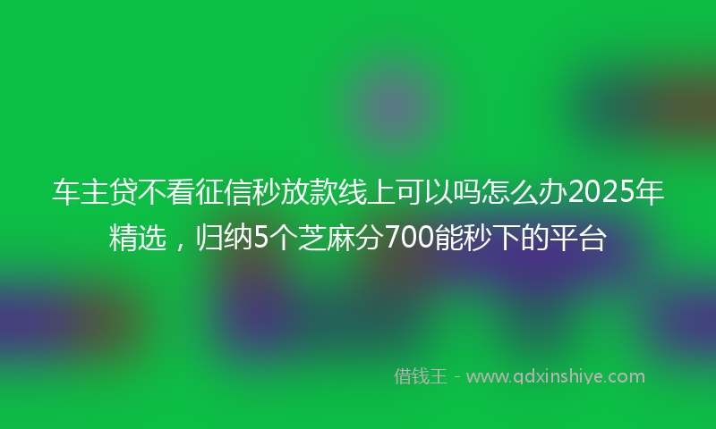 车主贷不看征信秒放款线上可以吗怎么办2025年精选，归纳5个芝麻分700能秒下的平台