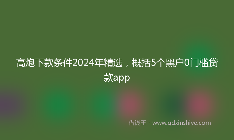 高炮下款条件2024年精选，概括5个黑户0门槛贷款app
