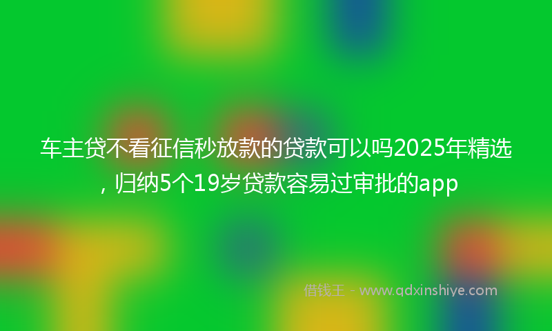 车主贷不看征信秒放款的贷款可以吗2025年精选，归纳5个19岁贷款容易过审批的app