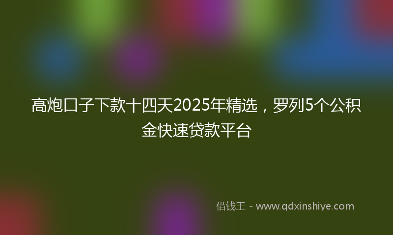 高炮口子下款十四天2025年精选，罗列5个公积金快速贷款平台