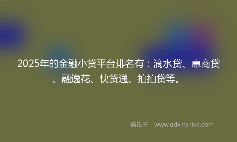 2025年的金融小贷平台排名有：滴水贷、惠商贷、融逸花、快贷通、拍拍贷等。